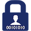 Datenschutz Systems Logo